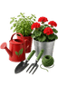 Дом и сад